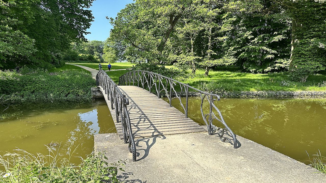 Op deze afbeelding zie je een brugje die plaats vind in het bos en kasteelpark Ter Rijst